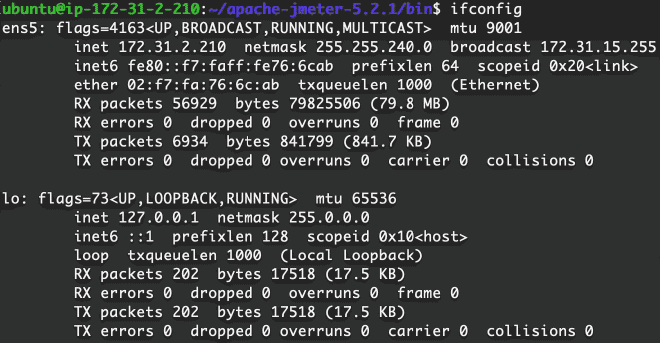 ifconfig